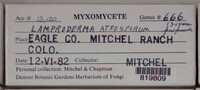 Image Associated With the Occurence